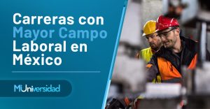 Lee más sobre el artículo Carreras con Mayor Campo Laboral en México
